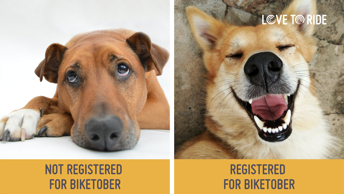 On the left, a dog lying down looking sad and bored. Underneath it says ‘not registered for Biketober’. On the right, a dog with a wide open mouth which gives the impression of a big smile. Underneath it says ‘registered for Biketober’. On the left, a dog lying down looking sad and bored. Underneath it says ‘not registered for Biketober’. On the right, a dog with a wide open mouth which gives the impression of a big smile. Underneath it says ‘registered for Biketober’.
