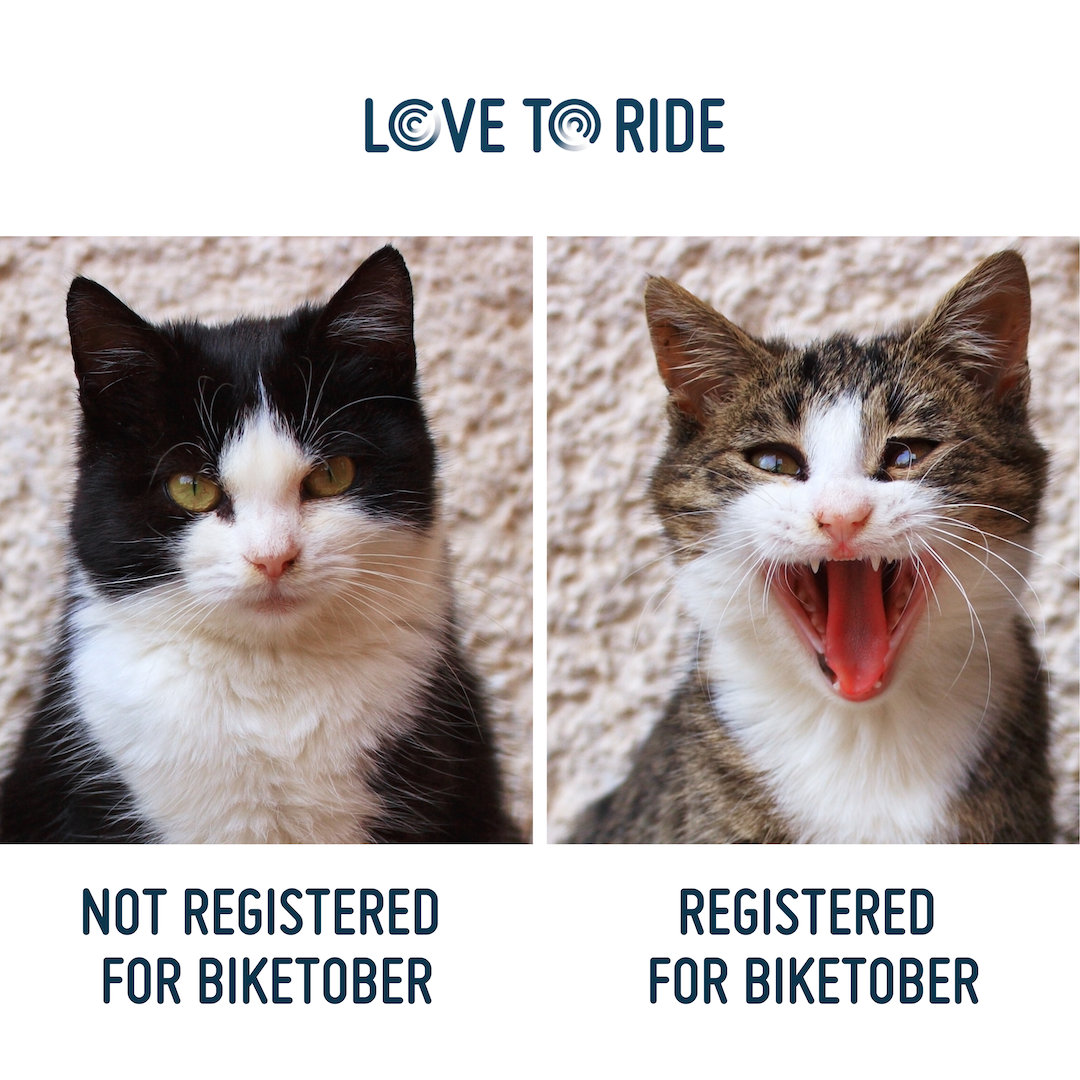 On the left, a cat with a slightly grumpy face. Underneath it says ‘not registered for Biketober’. On the right, a cat with a wide open mouth which gives the impression of an excited smile. Underneath it says ‘registered for Biketober’. On the left, a cat with a slightly grumpy face. Underneath it says ‘not registered for Biketober’. On the right, a cat with a wide open mouth which gives the impression of an excited smile. Underneath it says ‘registered for Biketober’.