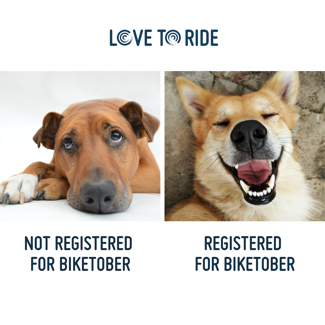 On the left, a dog lying down looking sad and bored. Underneath it says ‘not registered for Biketober’. On the right, a dog with a wide open mouth which gives the impression of a big smile. Underneath it says ‘registered for Biketober’. On the left, a dog lying down looking sad and bored. Underneath it says ‘not registered for Biketober’. On the right, a dog with a wide open mouth which gives the impression of a big smile. Underneath it says ‘registered for Biketober’.
