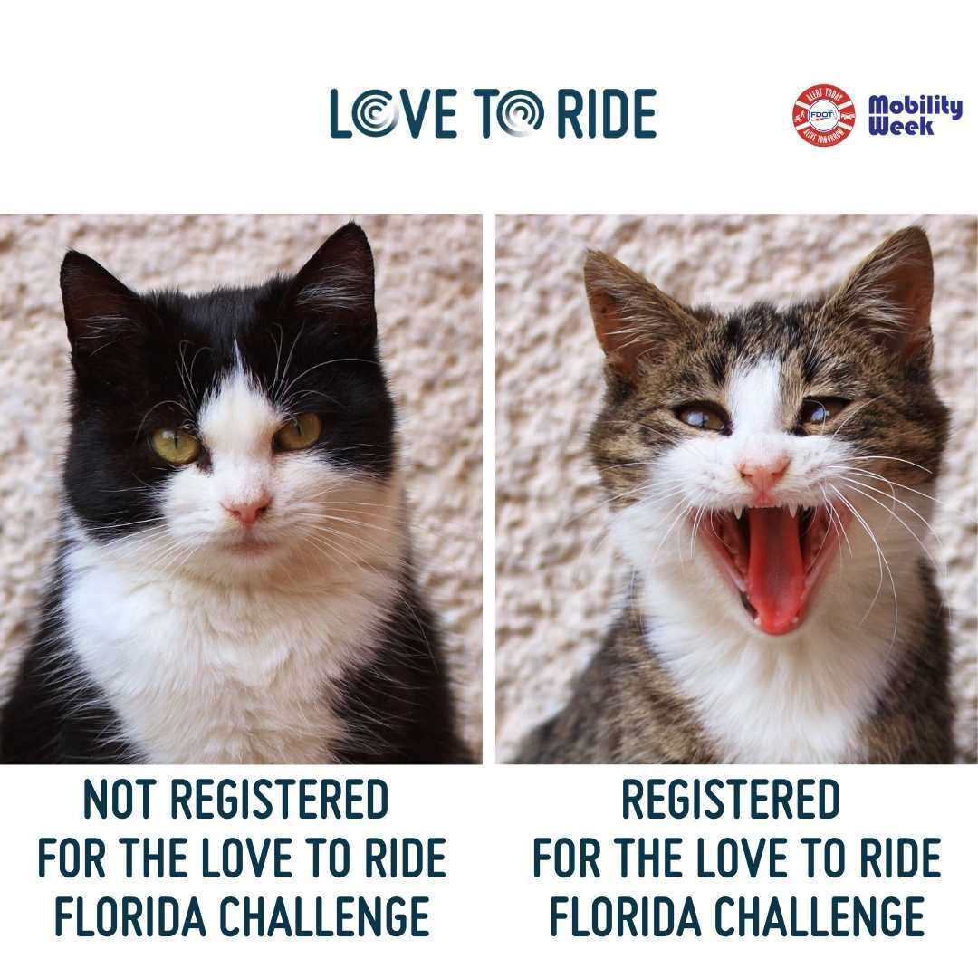 On the left, a cat with a slightly grumpy face. Underneath it says ‘not registered for The Love to Ride Florida Challenge’. On the right, a cat with a wide open mouth which gives the impression of an excited smile. Underneath it says ‘registered for The Love to Ride Florida Challenge.' Logos for Love to Ride are at the top in the center, Alert Today and Mobility Week are in the top right corner.’. On the left, a cat with a slightly grumpy face. Underneath it says ‘not registered for The Love to Ride Florida Challenge’. On the right, a cat with a wide open mouth which gives the impression of an excited smile. Underneath it says ‘registered for The Love to Ride Florida Challenge.' Logos for Love to Ride are at the top in the center, Alert Today and Mobility Week are in the top right corner.’.