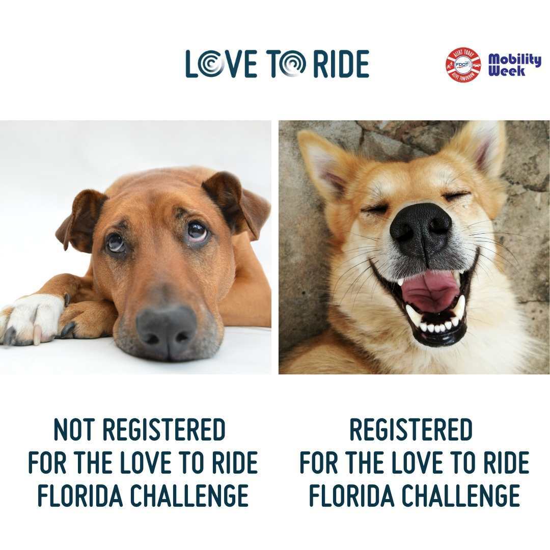 On the left, a dog lying down looking sad and bored. Underneath it says ‘not registered for The Love to Ride Florida Challenge'. On the right, a dog with a wide open mouth which gives the impression of a big smile. Underneath it says ‘registered for The Love to Ride Florida Challenge.' Logos for Love to Ride are at the top in the center, Alert Today and Mobility Week are in the top right corner. On the left, a dog lying down looking sad and bored. Underneath it says ‘not registered for The Love to Ride Florida Challenge'. On the right, a dog with a wide open mouth which gives the impression of a big smile. Underneath it says ‘registered for The Love to Ride Florida Challenge.' Logos for Love to Ride are at the top in the center, Alert Today and Mobility Week are in the top right corner.