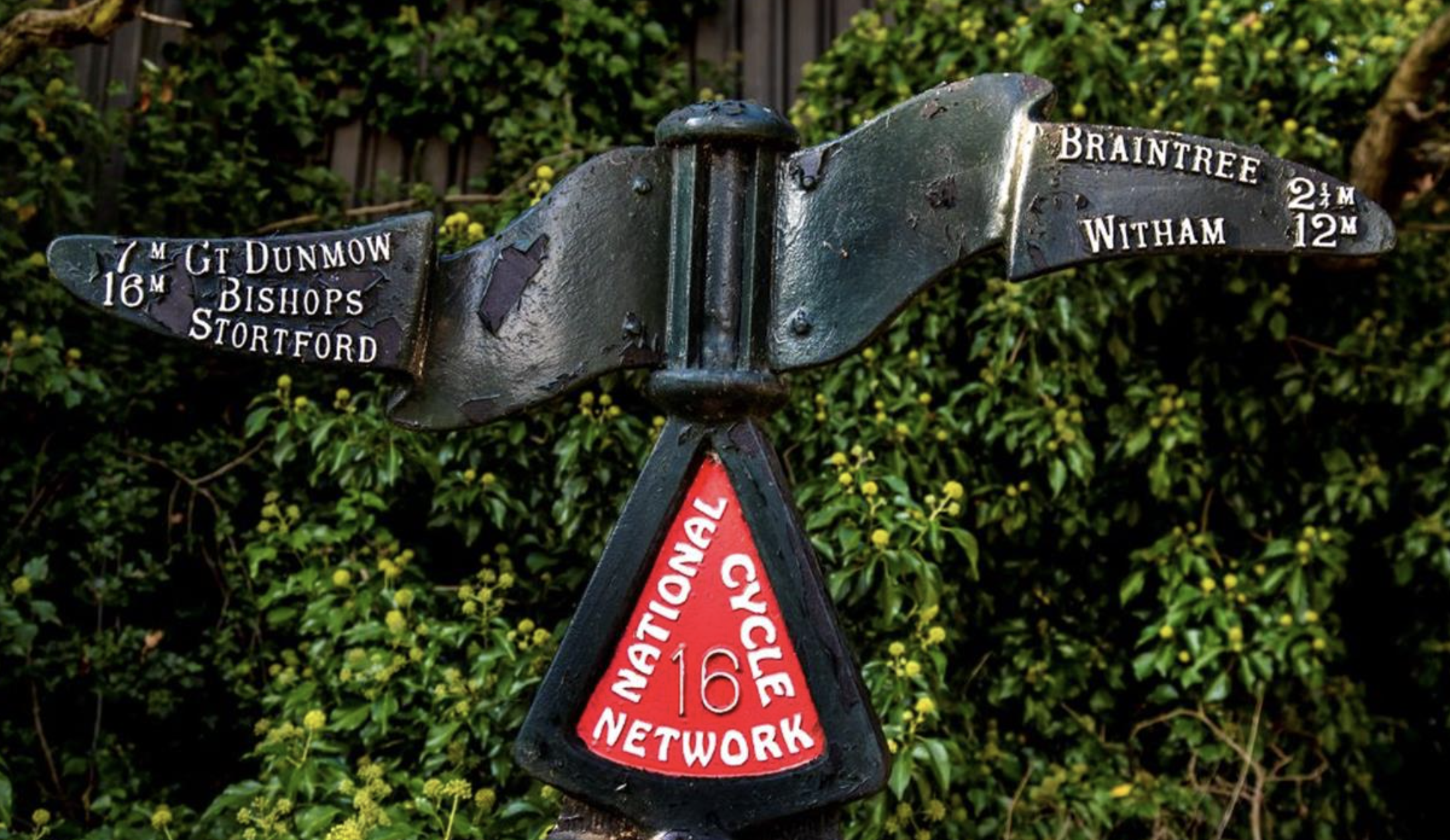 Signage in Braintree Signage in Braintree