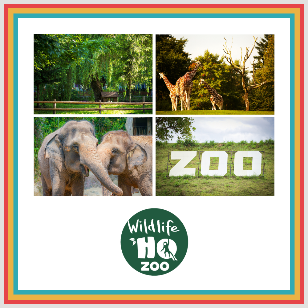 Wildlife HQ (zoo + train)