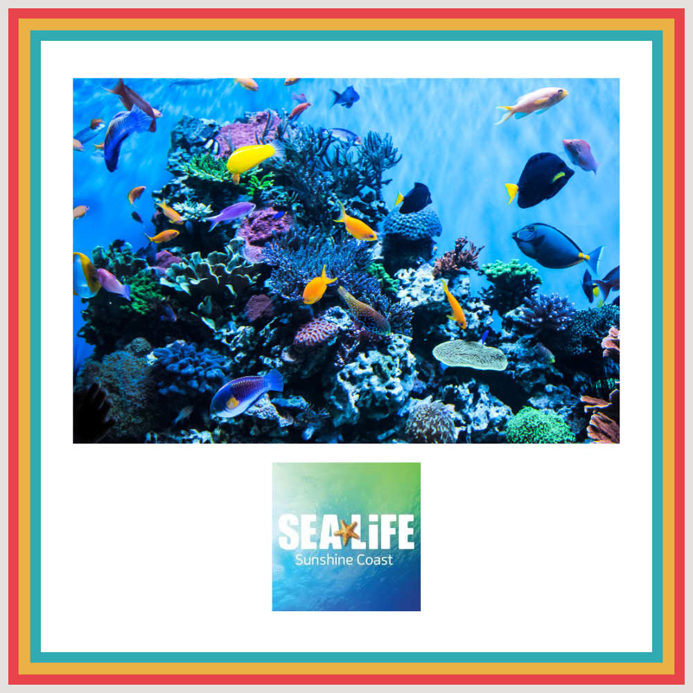 Sea Life Aquarium (with VR)