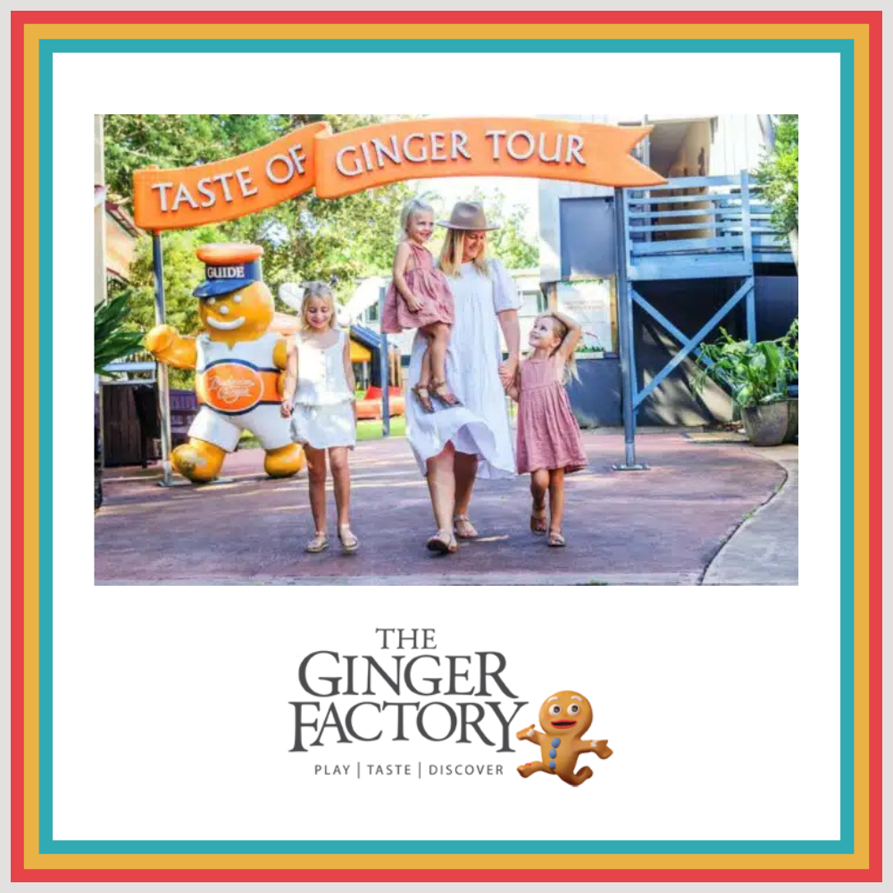 Ginger Factory