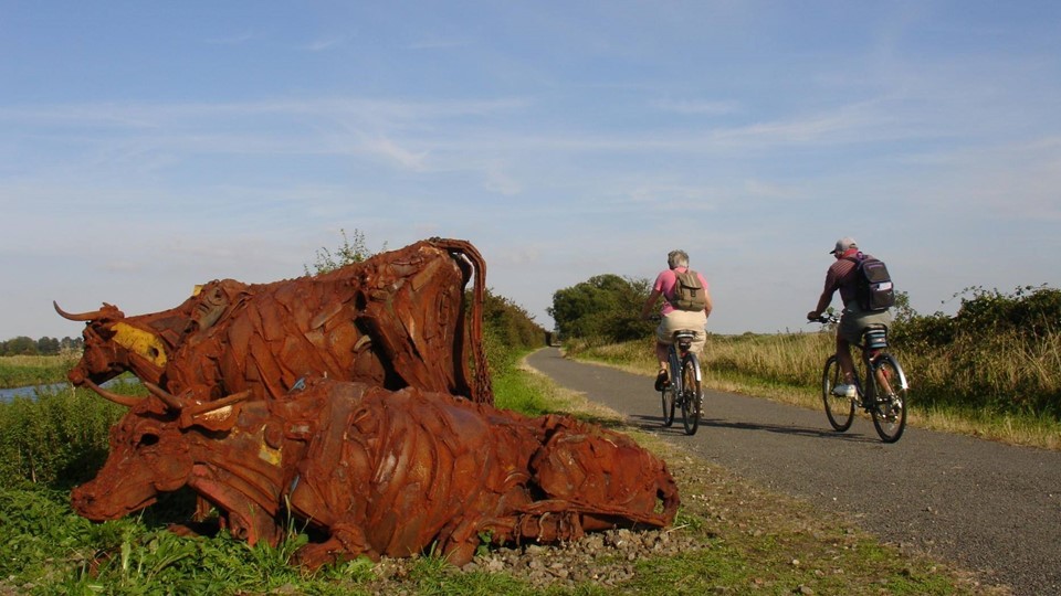 Two cyclists cycle down a cycle route next to two cow statues