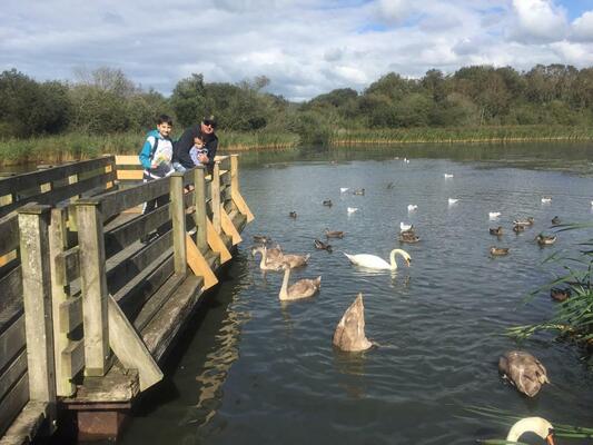Image for story Secret Garden with Ducks