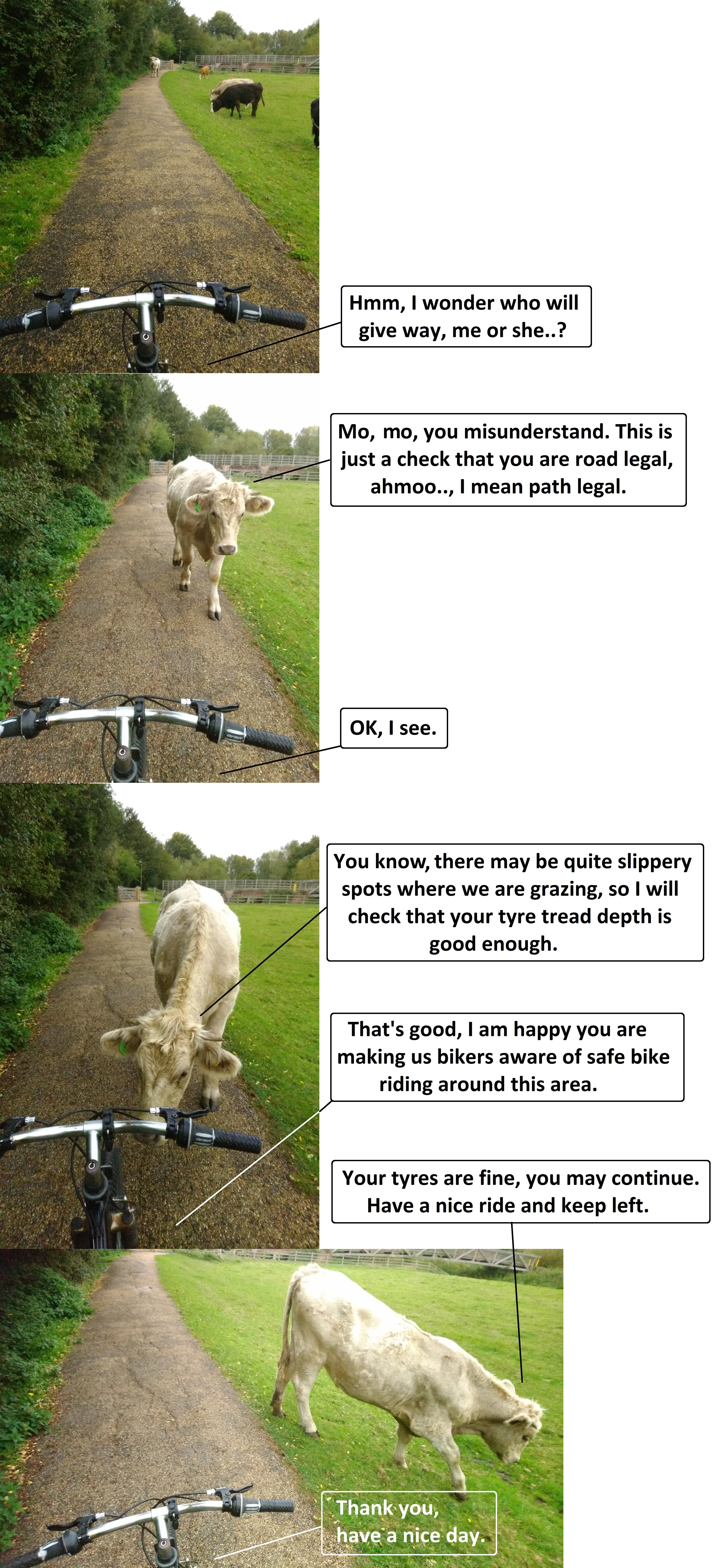 Road (path) safety check in Ouzel Valley Park