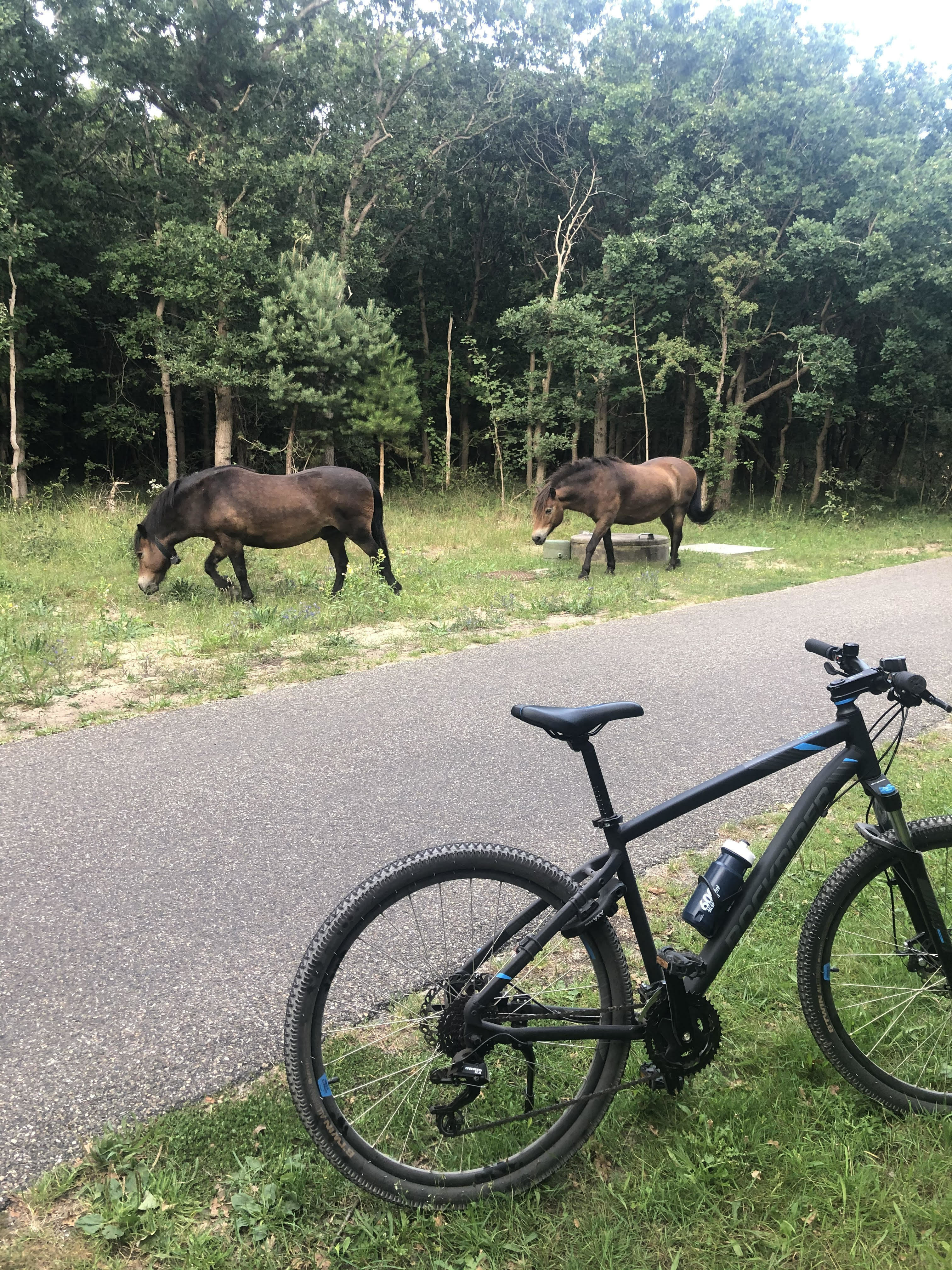 Thuiswerkdag goed beginnen!