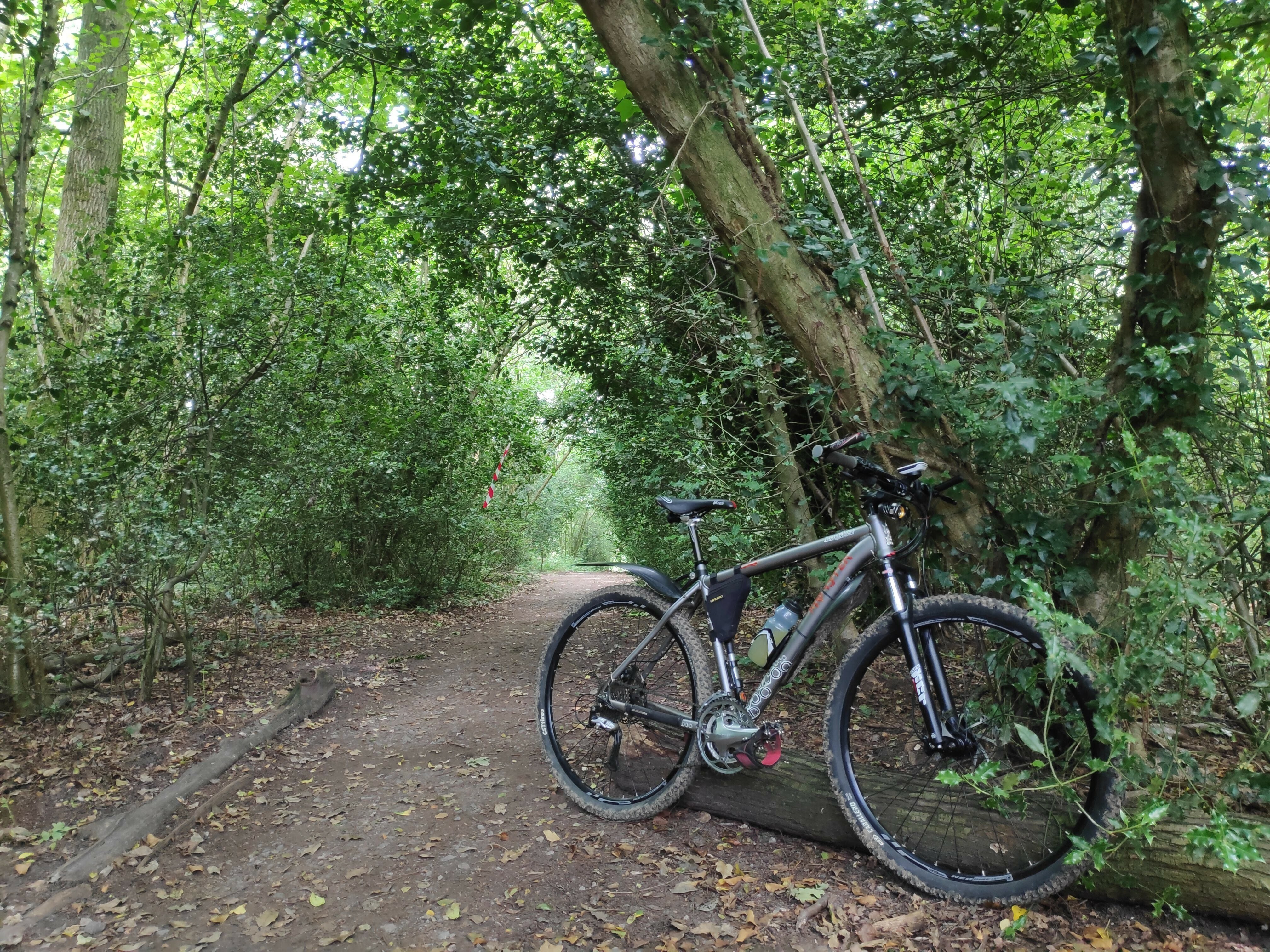 Trying a new routes so need the MTB
