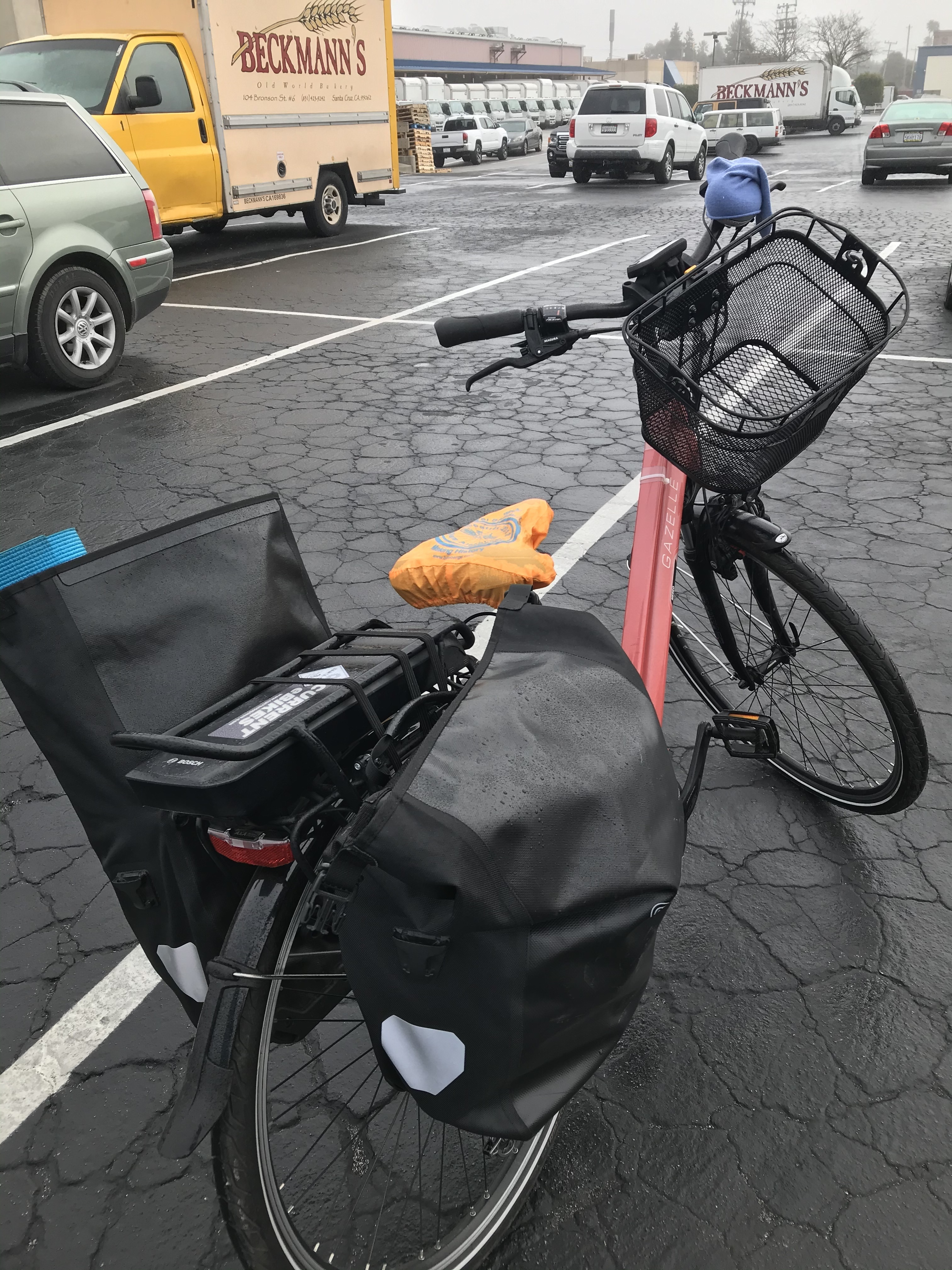 Biking from 🐐 to 🚲 repair today!