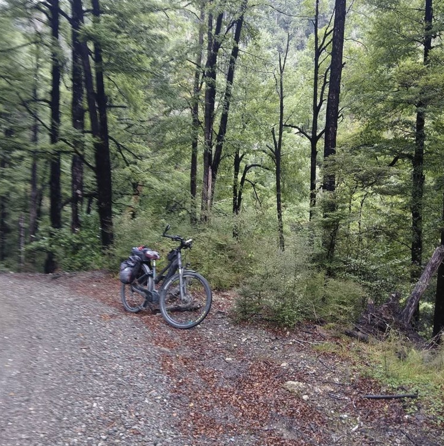 Biking the mariua saddle road