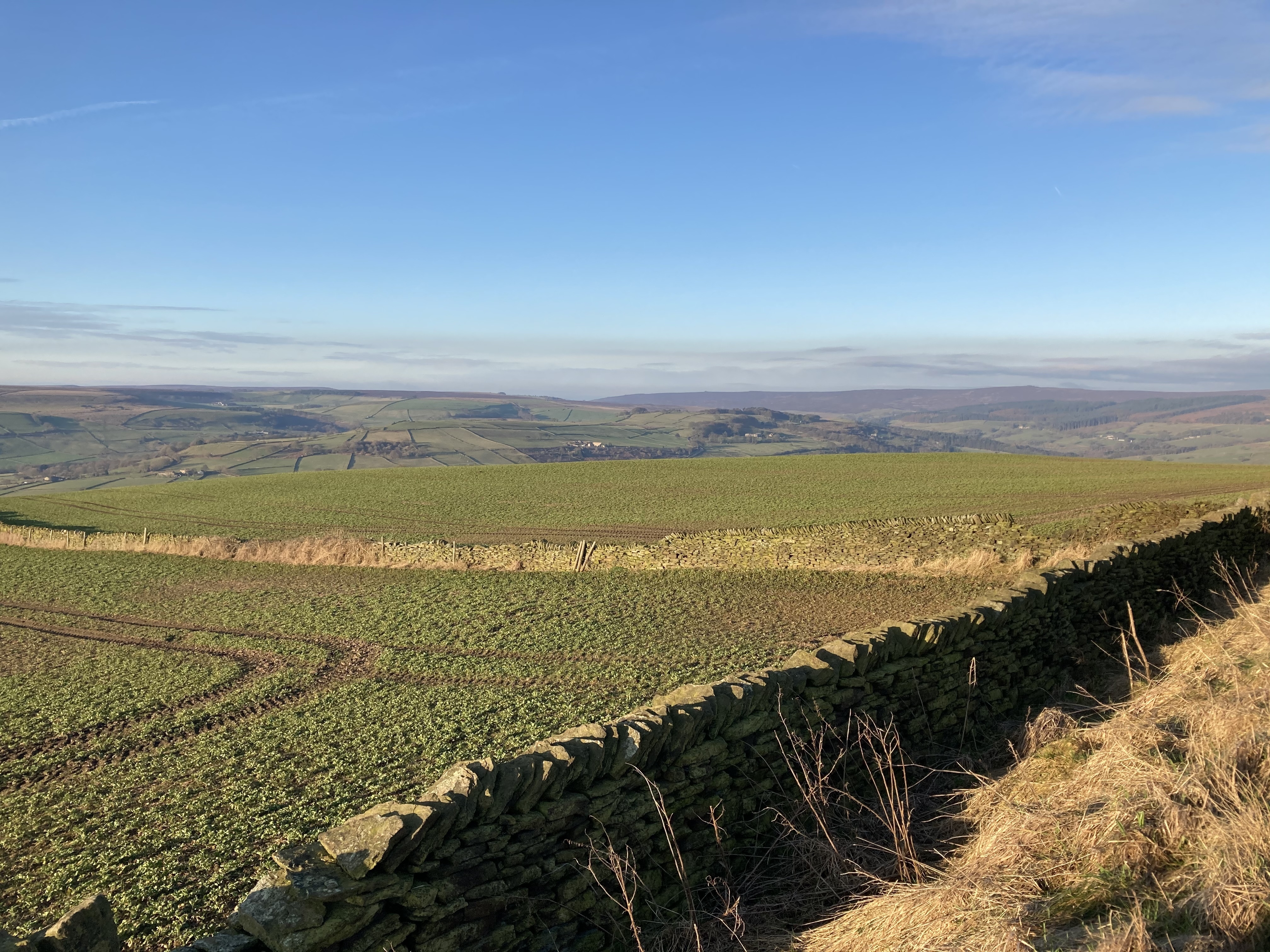 Revitalising morning ride