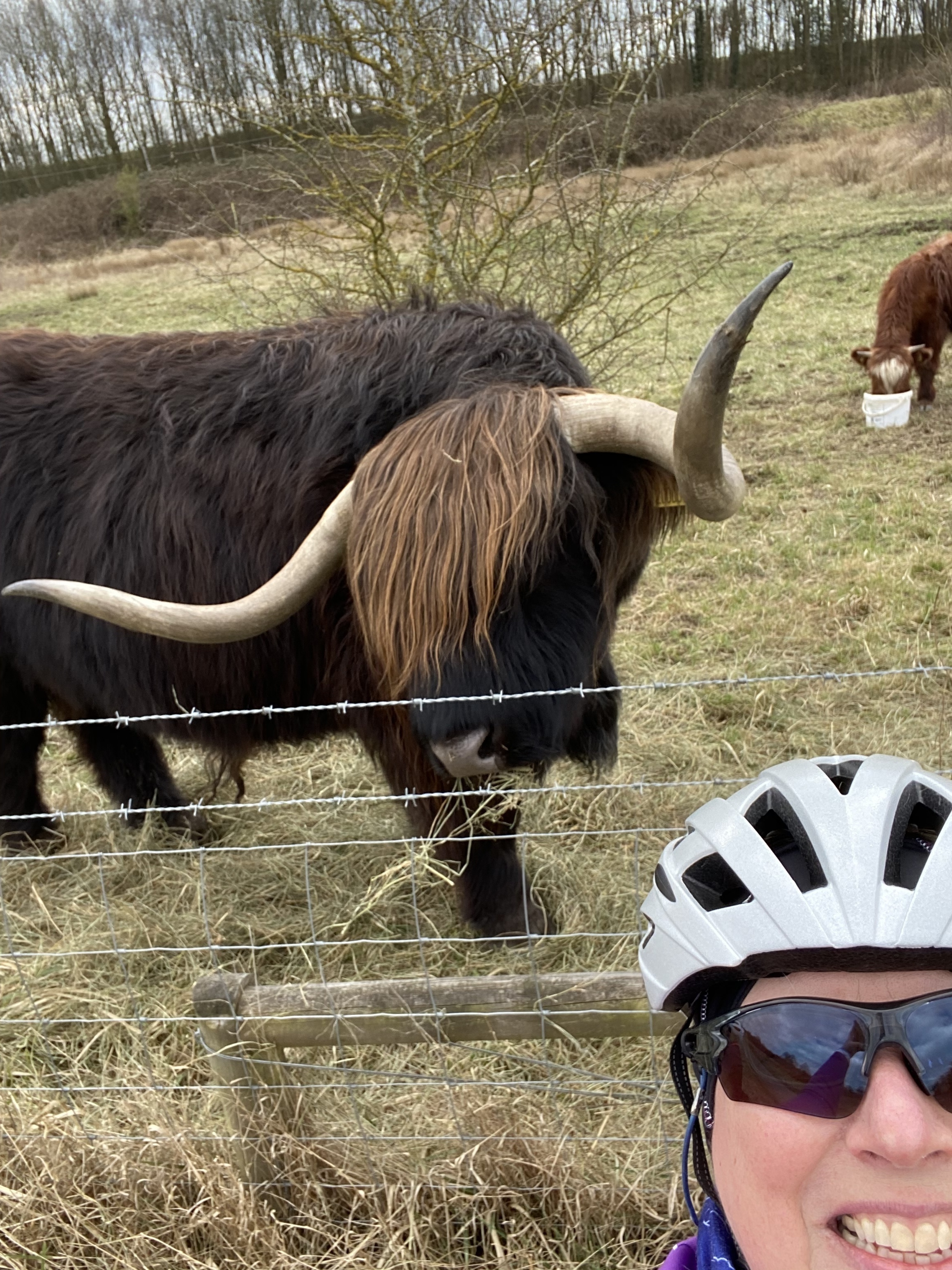 Cycling on 4 Canals