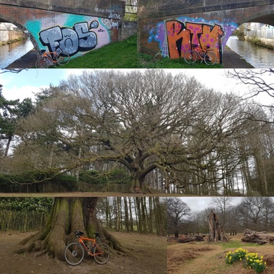 Image for story Canal &amp; Park commute #RideFree