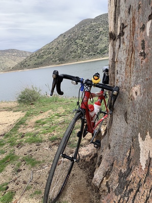 Image for story Accidental Bike Advocate 