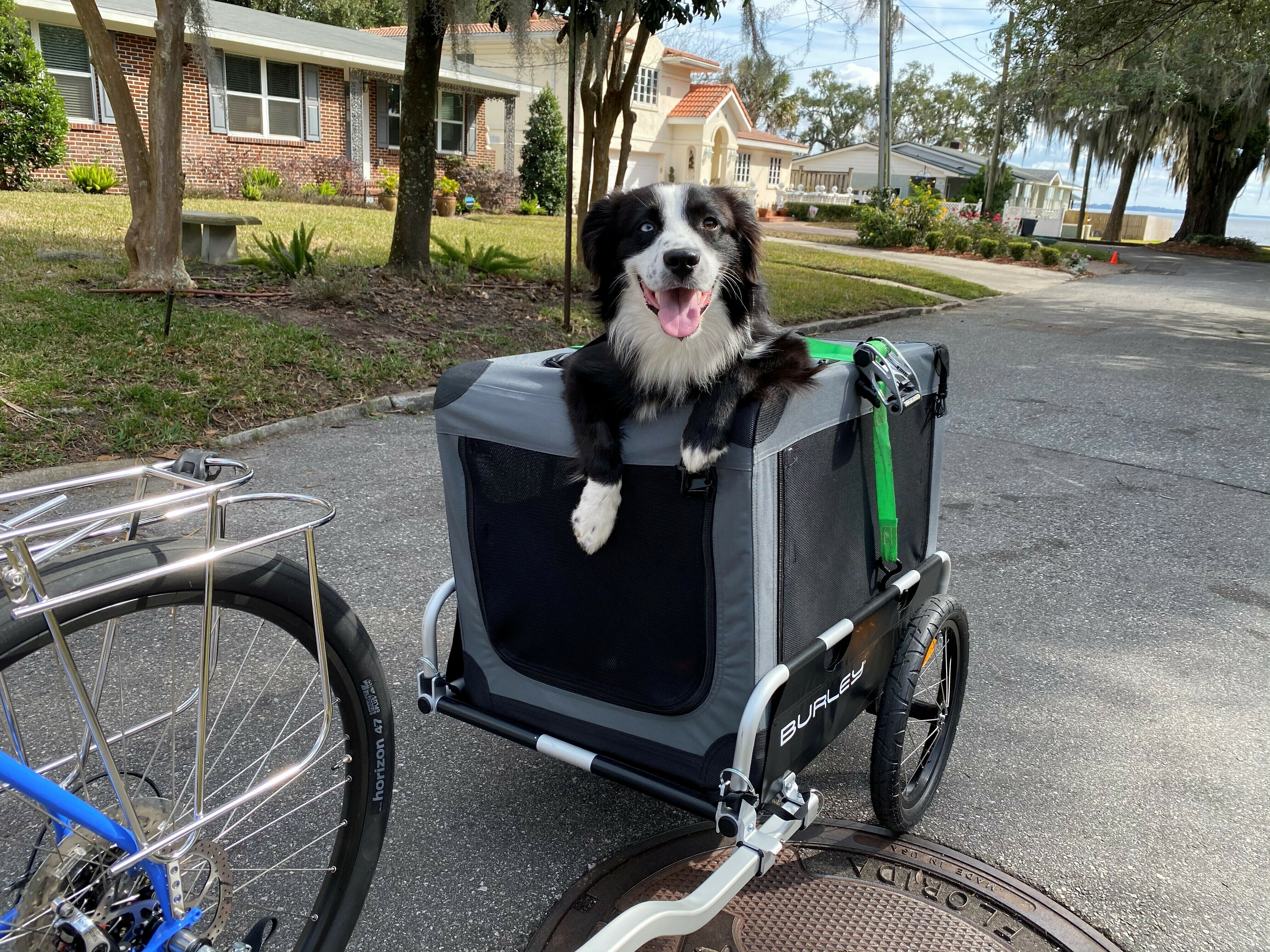 Image for story Biking with my bud