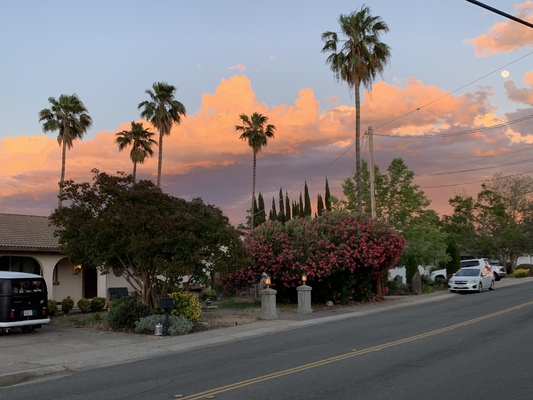 Image for story Cruising the Neighborhood at Night