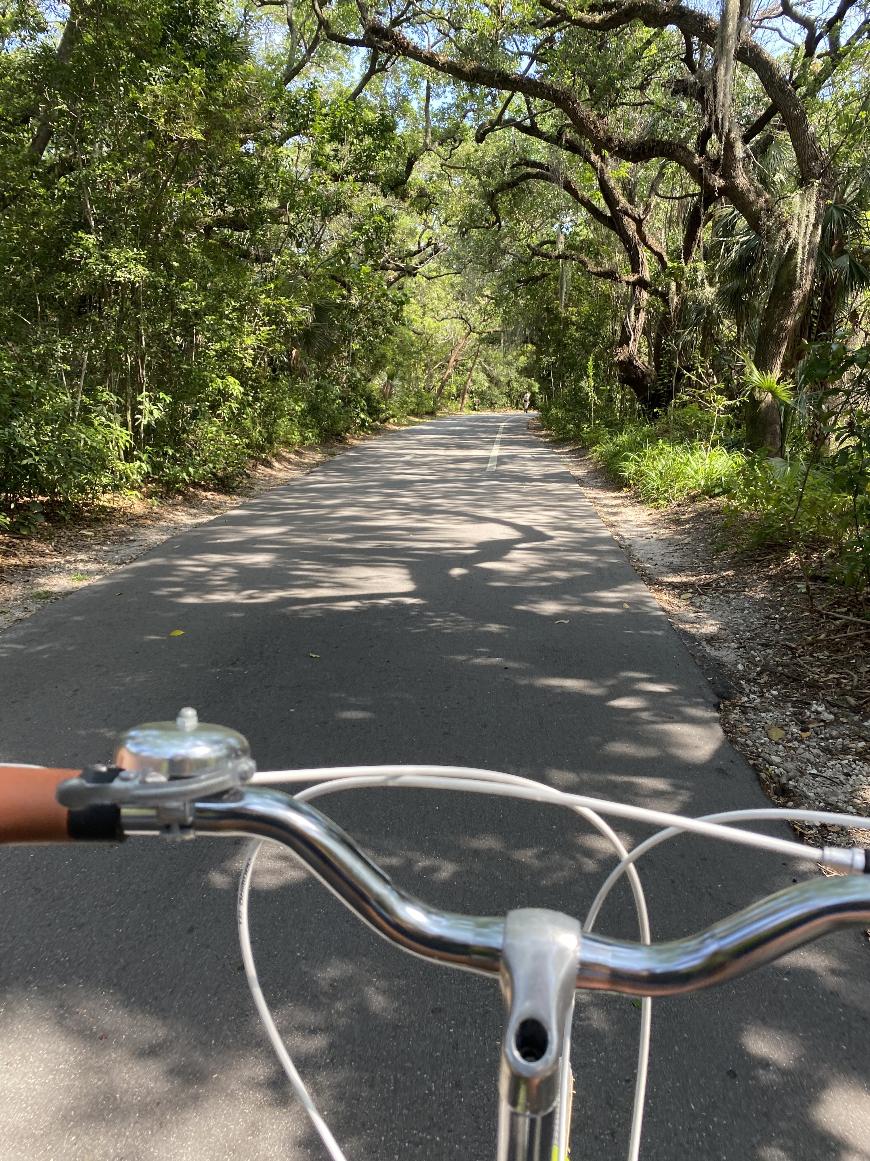 Image for story Biking is liberating!