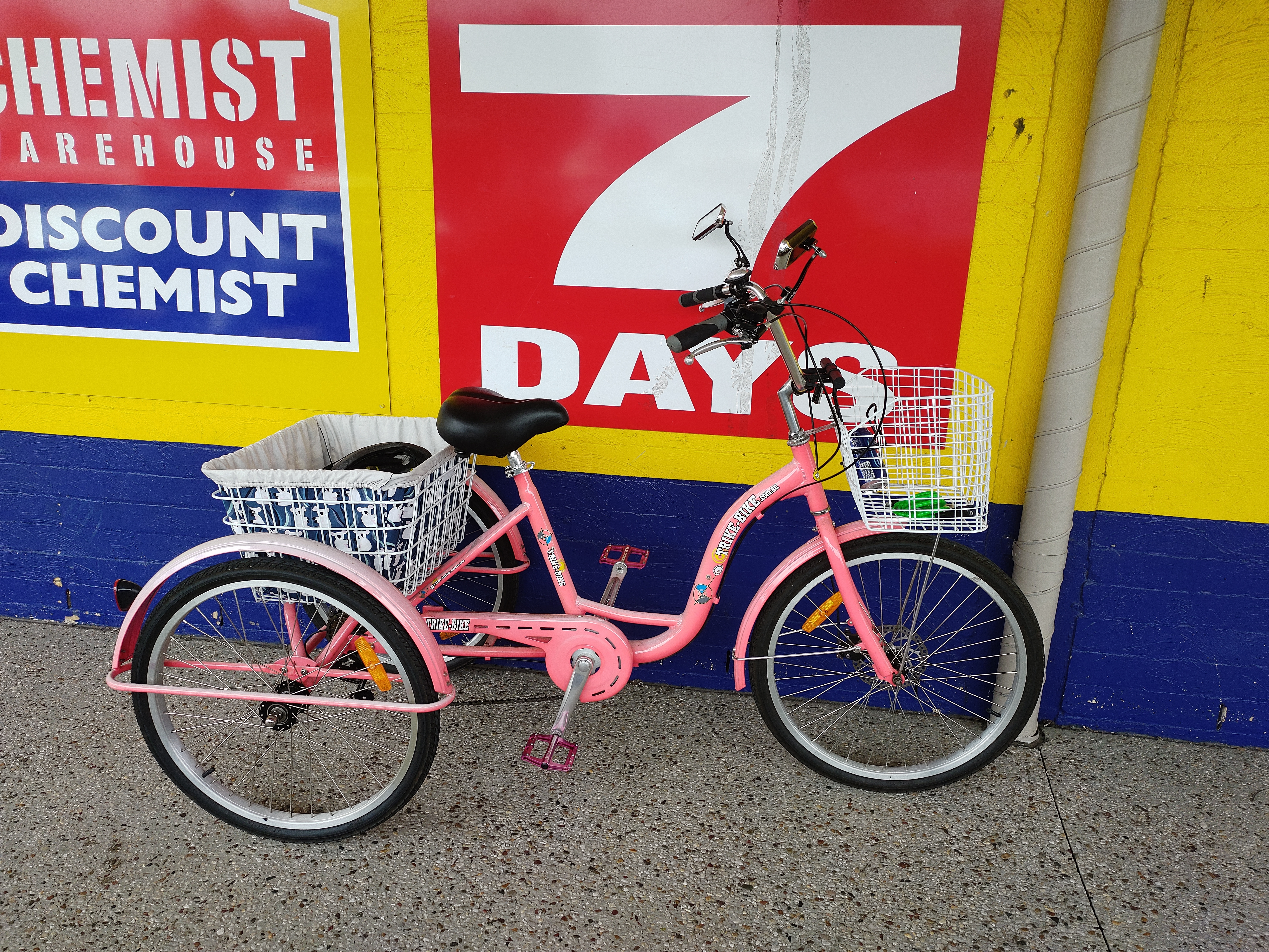 Image for story My New Tricycle
