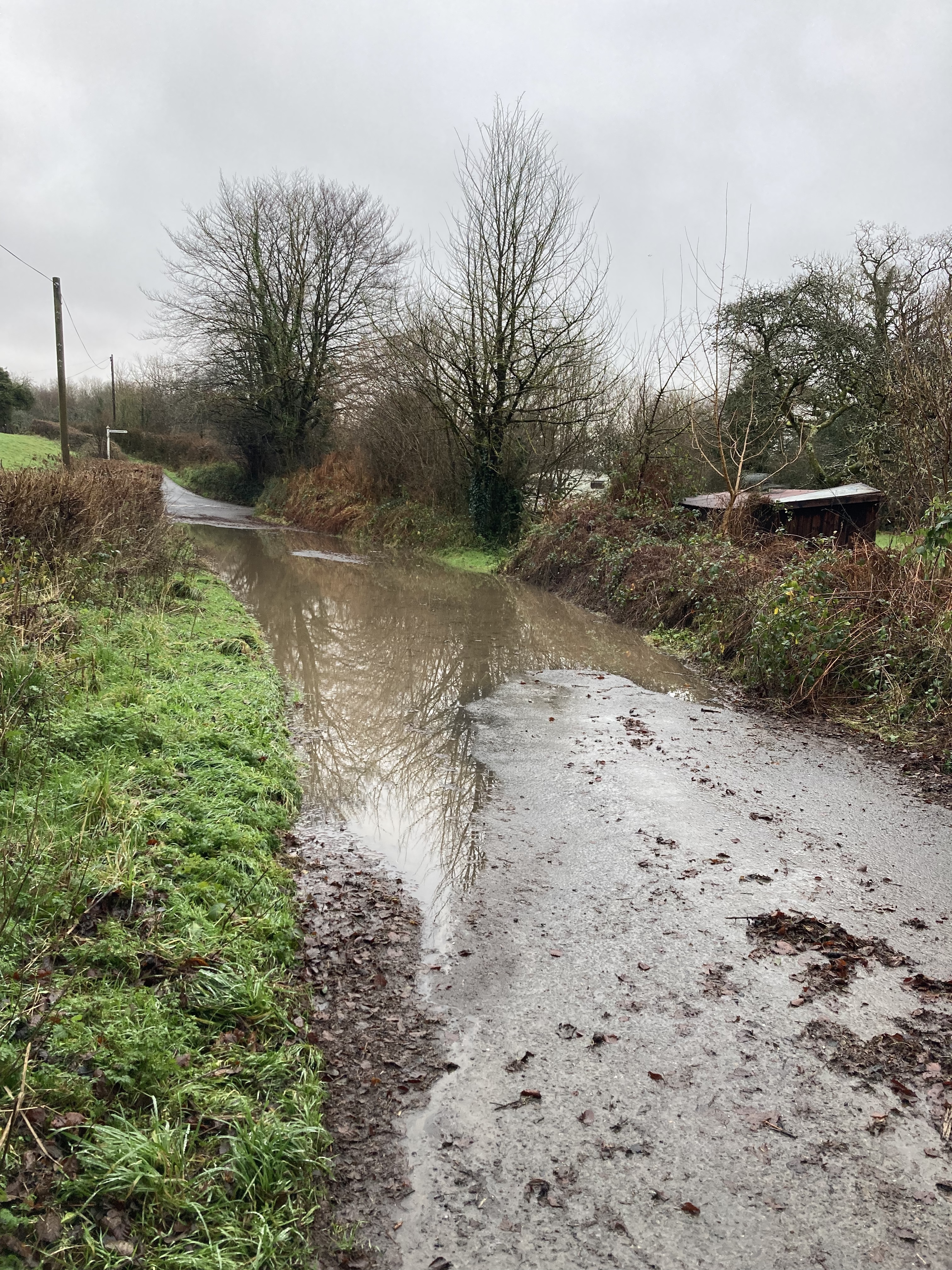 Image for story Wet and windy