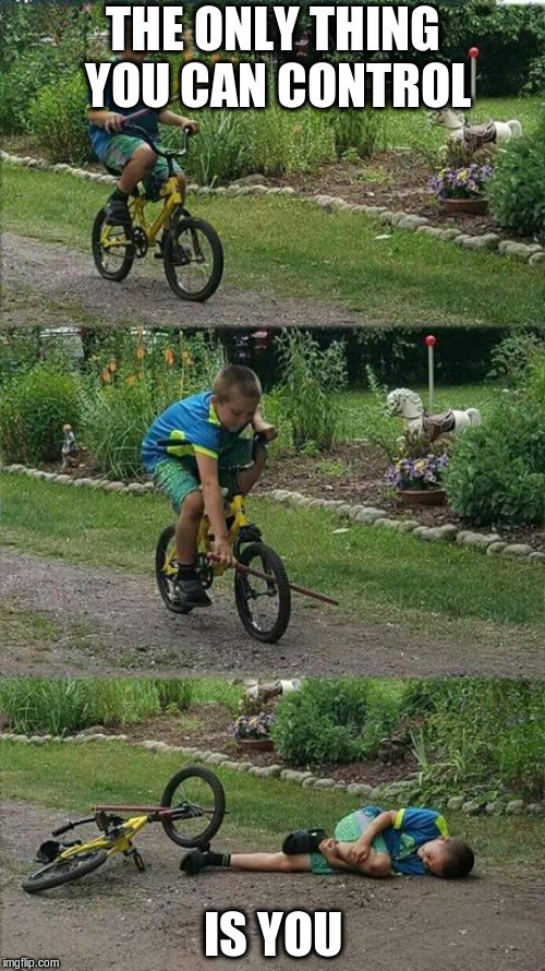 Image for story YES IT IS ABOUT THE BIKE!!! (it couldn't be ME)