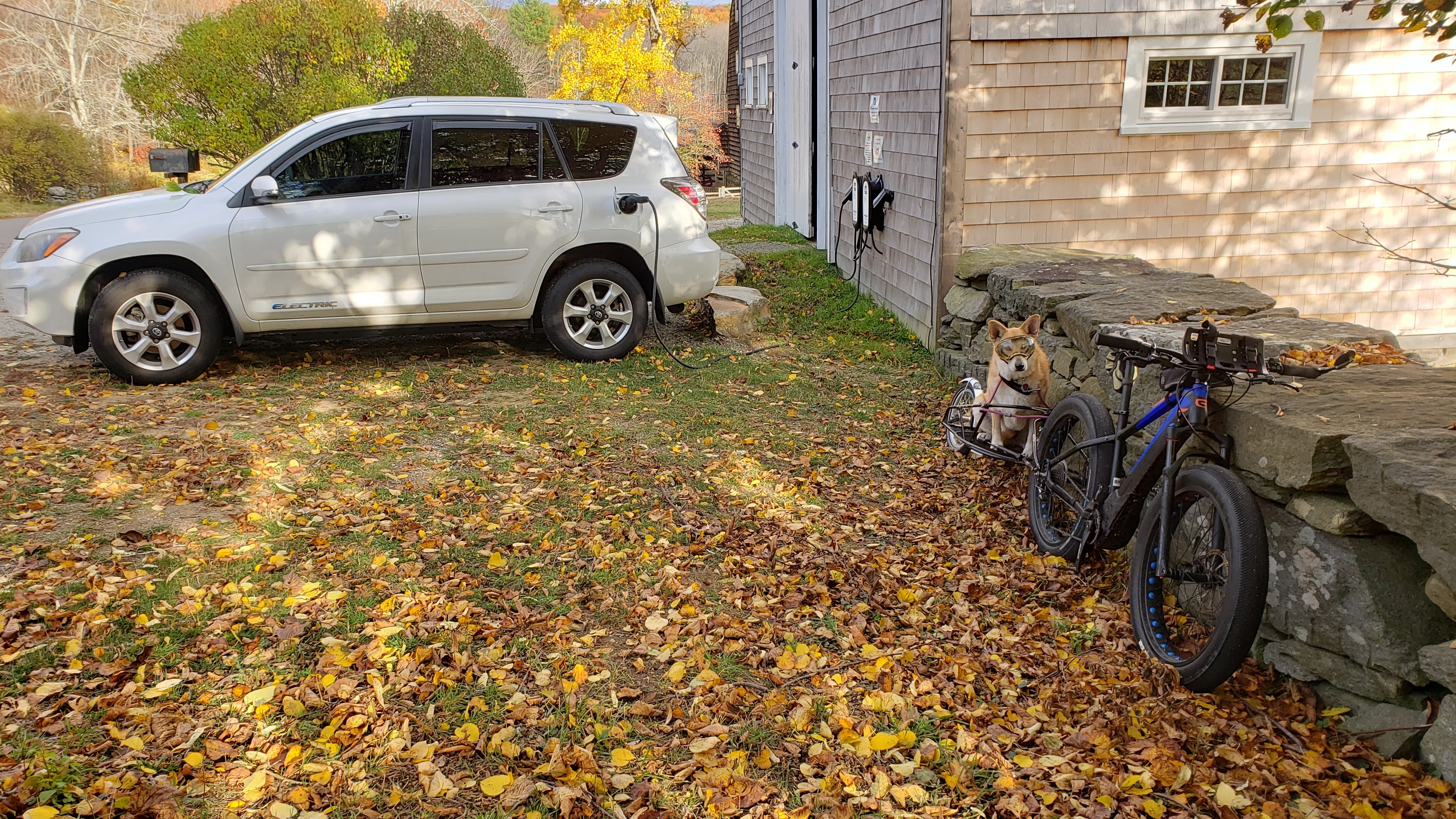 Image for story EV + bike