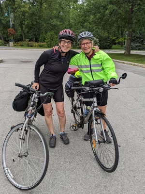 Image for story Le chemin du roy