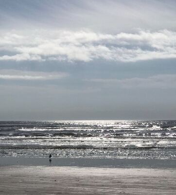 Image for story There's Nothing Like an Ocean View