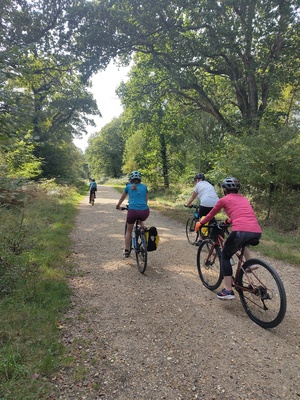 Image for story Women's Group Ride from Southampton to the New Forest!