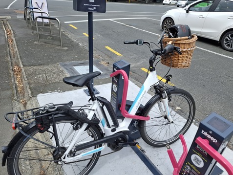 Image for story Locky Docks