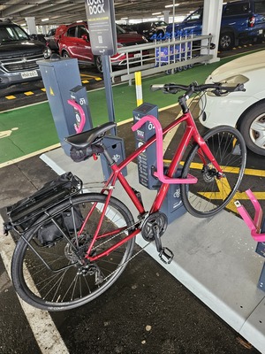 Image for story Lucky Docky Auckland domestic Airport