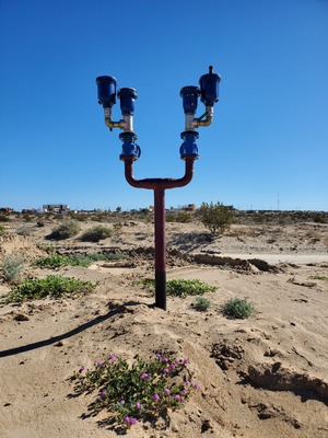 Image for story Sandy soils