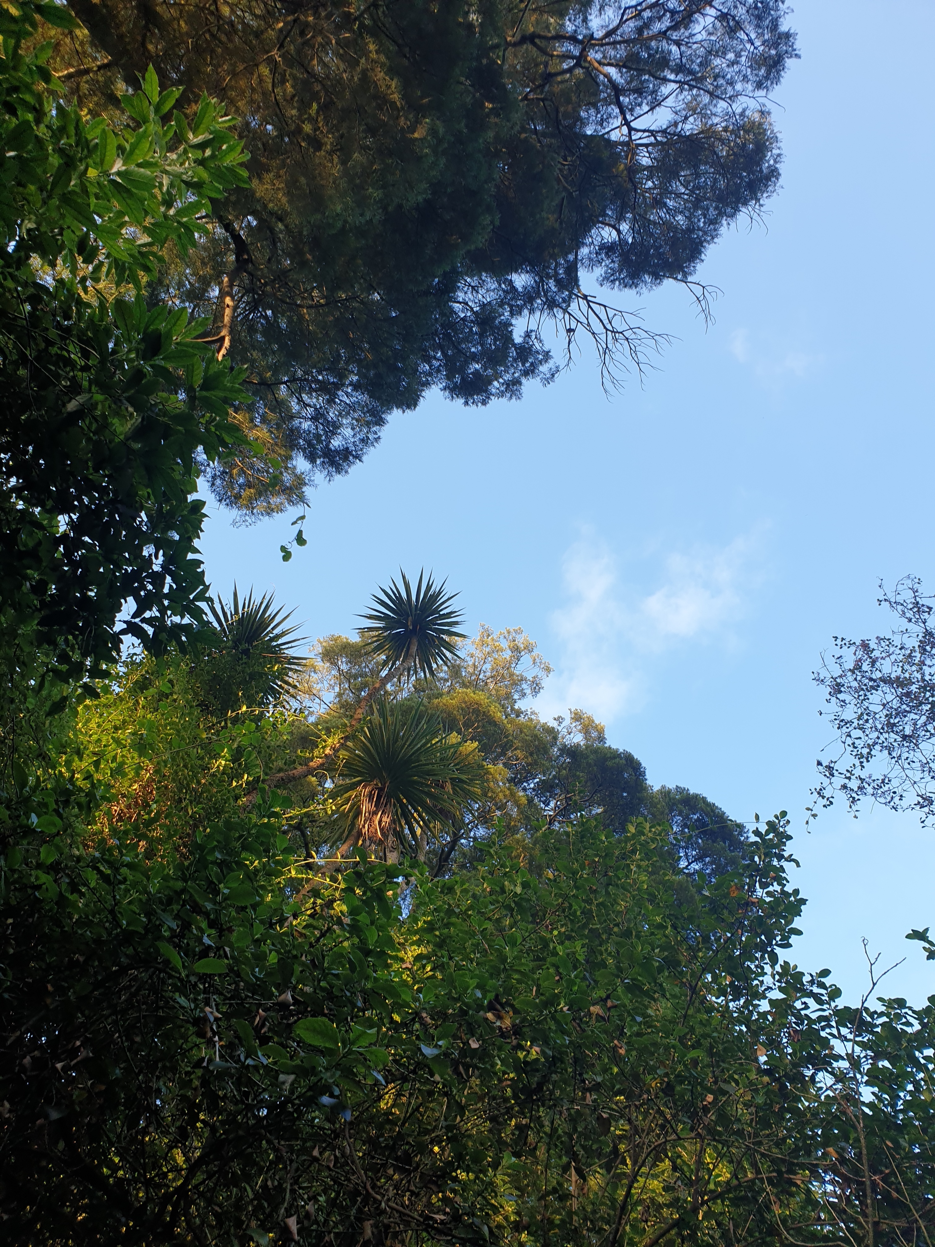 Taking a moment in the bush