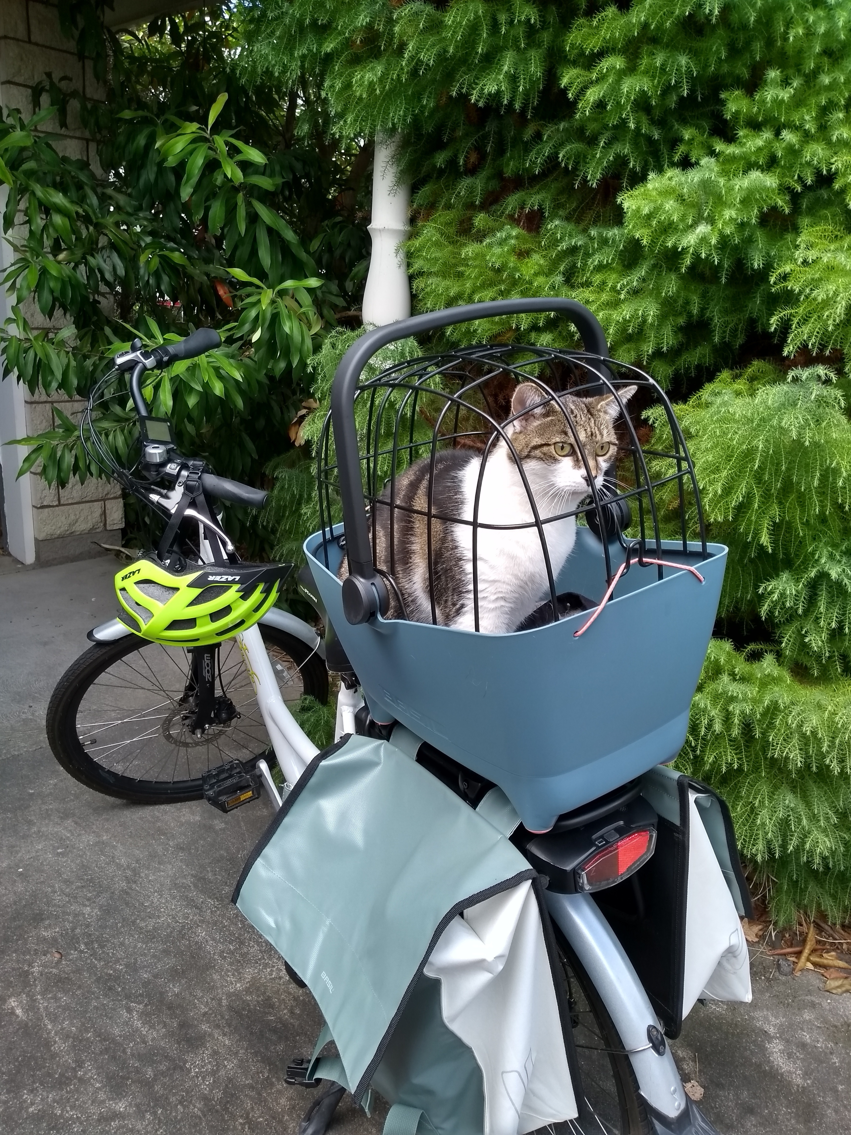 Riding tandem with Telzey