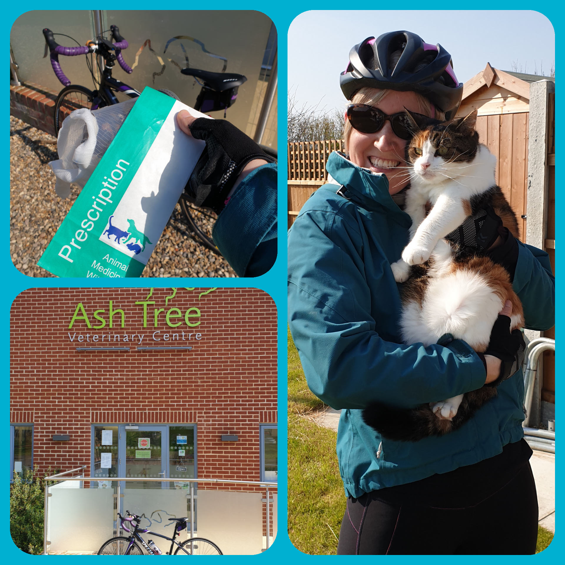 Cycling Vet Nurse Cares For Sick Cat