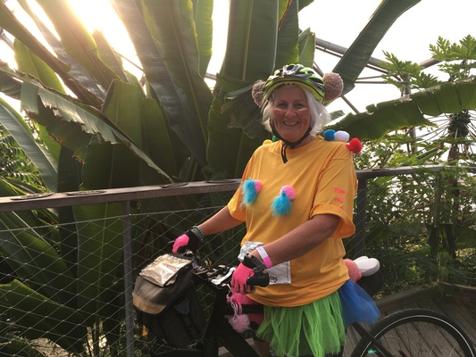 Image for story One Hour of Peacefulness