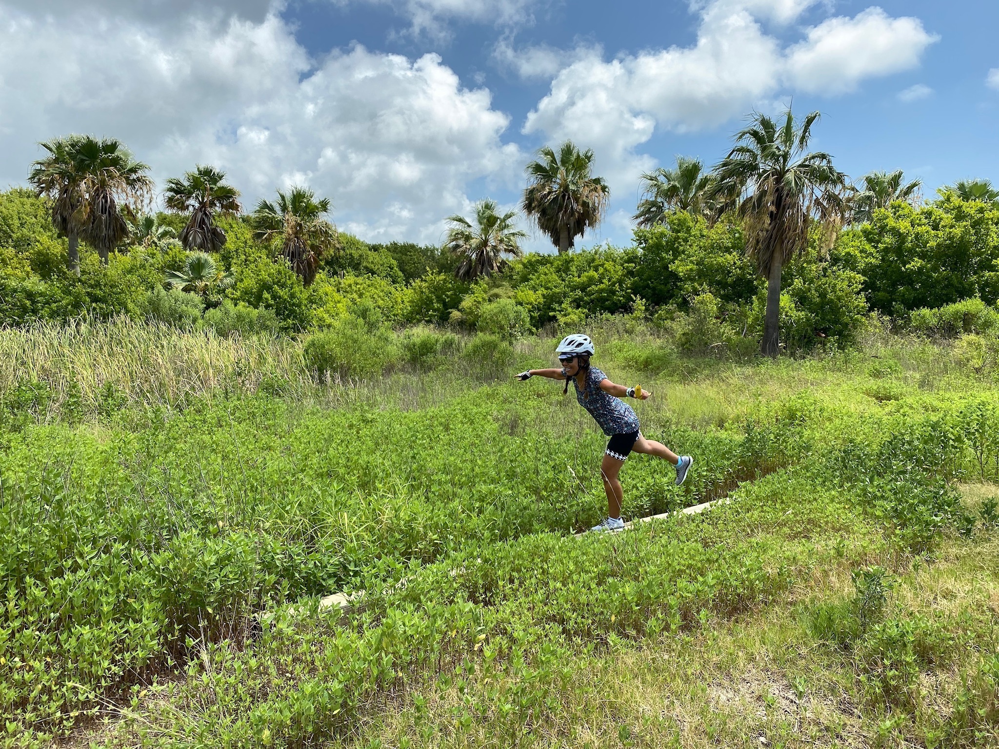 Image for story Adventure on Pelican Island