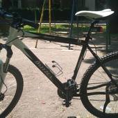 User avatar for Davor Mrkus