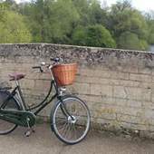 User avatar for Sarah Kendall