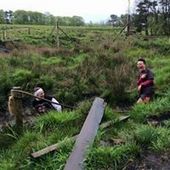 User avatar for Aileen Cox