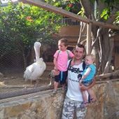 User avatar for Gary Ingram