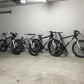 User avatar for Daniel Nelki