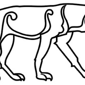 User avatar for Fergus Macneill