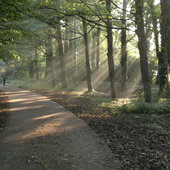 User avatar for Tyrone Rose