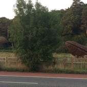 User avatar for Andy Clarke