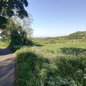 User avatar for Martin Hughes