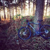 User avatar for Shane Harrison