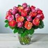 User avatar for Simon Mendy