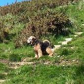 User avatar for Finn Sweeney